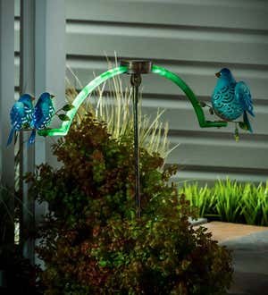 Solar Lighted Bluebird Balancer Garden Stake