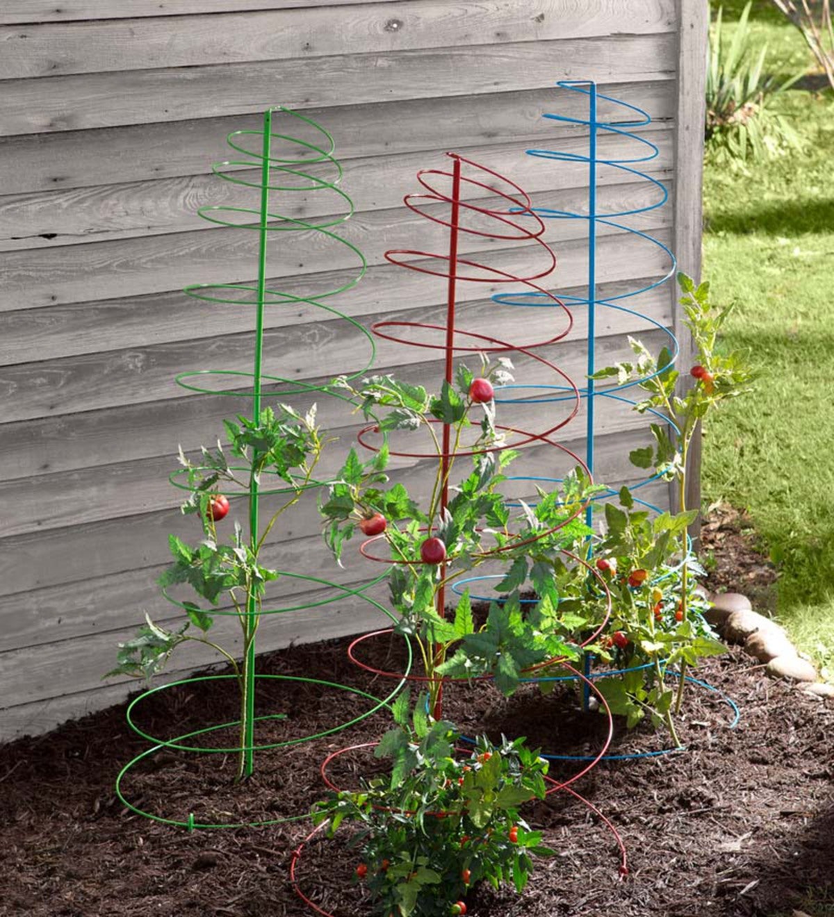 Colorful Spiral Plant Stakes, Set of 3