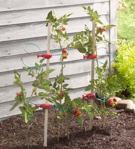 Tomato Tomboy Plant Supports, Set of 4