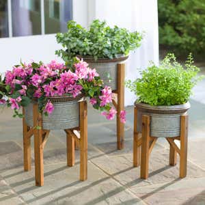 Galvanized Planters with Wooden Stands, Set of 3