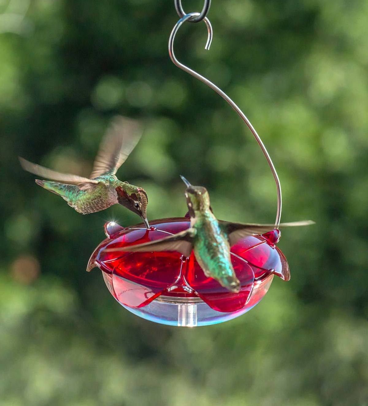 Hanging 5-Ounce Hummingbird Feeder