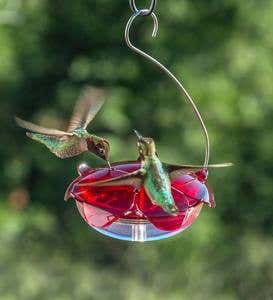 Hanging 5-Ounce Hummingbird Feeder