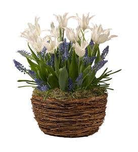 White Tulips and Blue Grape Hyacinths Flower Bulb Gift Garden