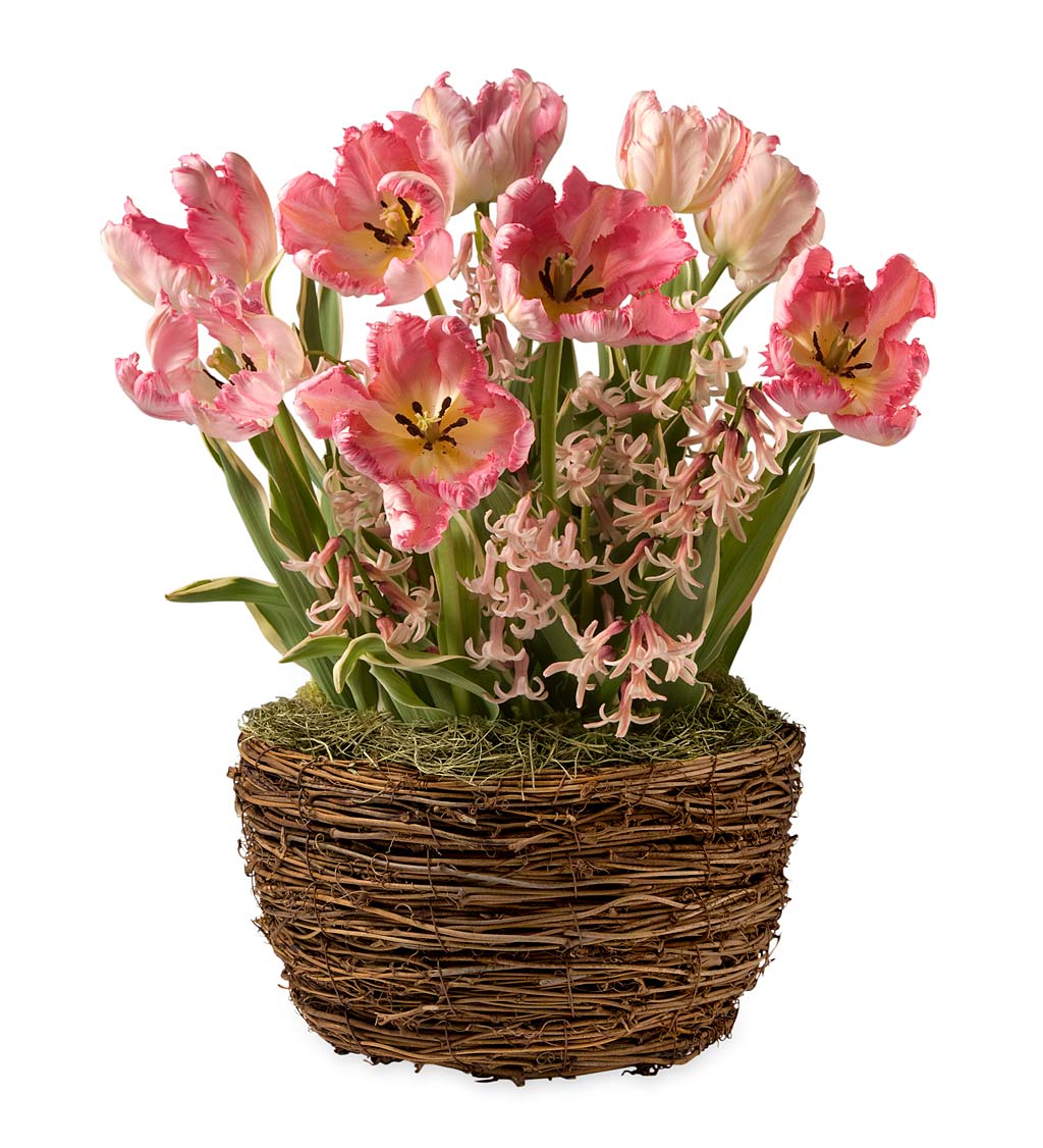 Tulip and Hyacinth Shades of Pink Flower Gift Garden