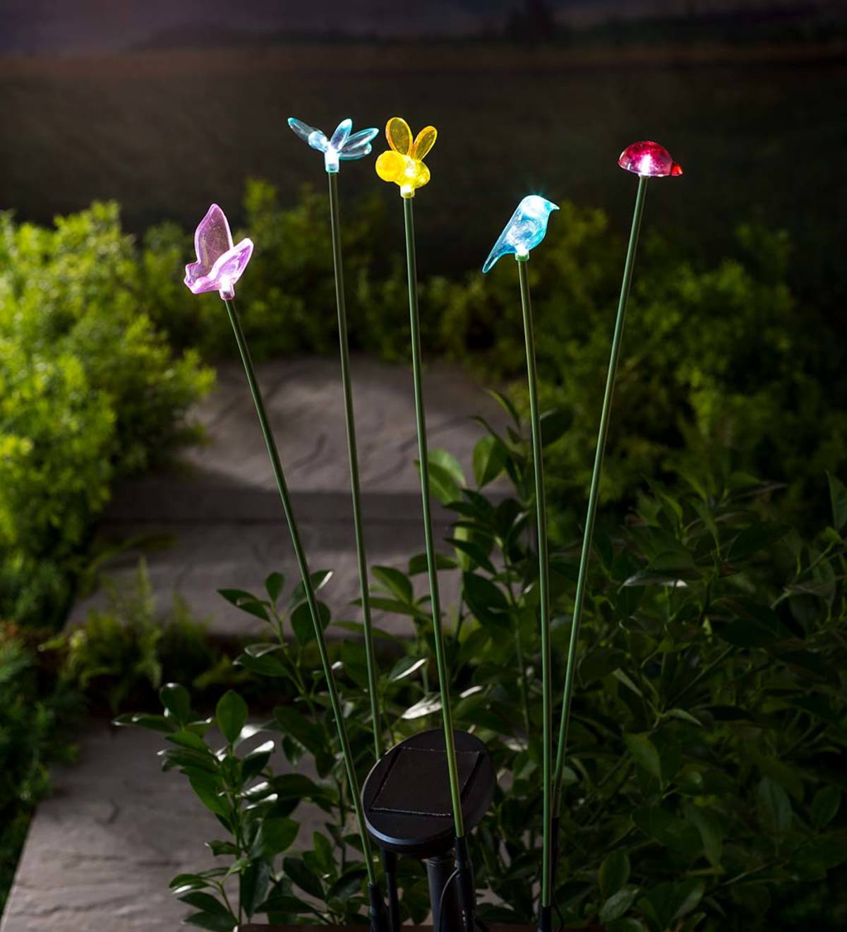Multicolor Solar Lighted Flyers Garden Stakes, Set of 5