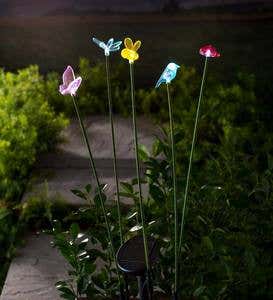 Multicolor Solar Lighted Flyers Garden Stakes, Set of 5