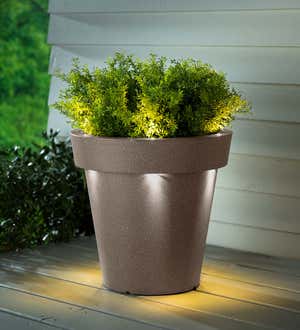 Outdoor Fiberglass Beige Planter with Solar Lights