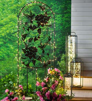 Metal Garden Hummingbird Trellis