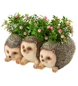 Hedgehog Triplets Planter