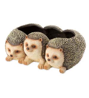 Hedgehog Triplets Planter