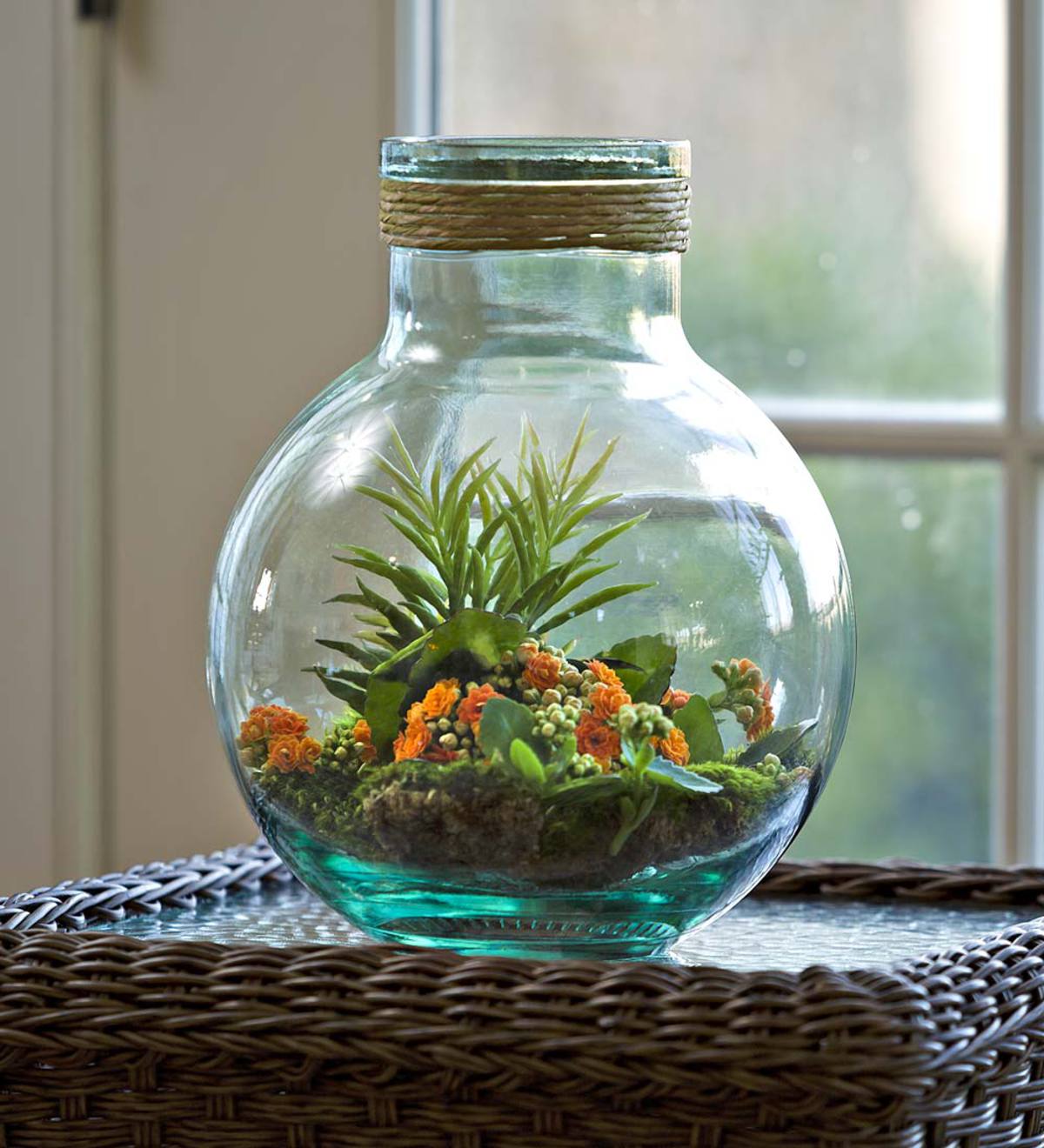 Recycled Glass Terrarium Jar