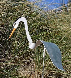 Great Blue Heron Dancing Bird