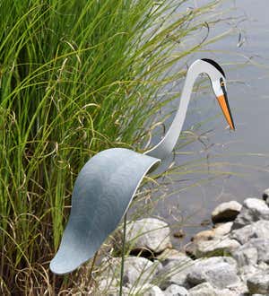 Great Blue Heron Dancing Bird