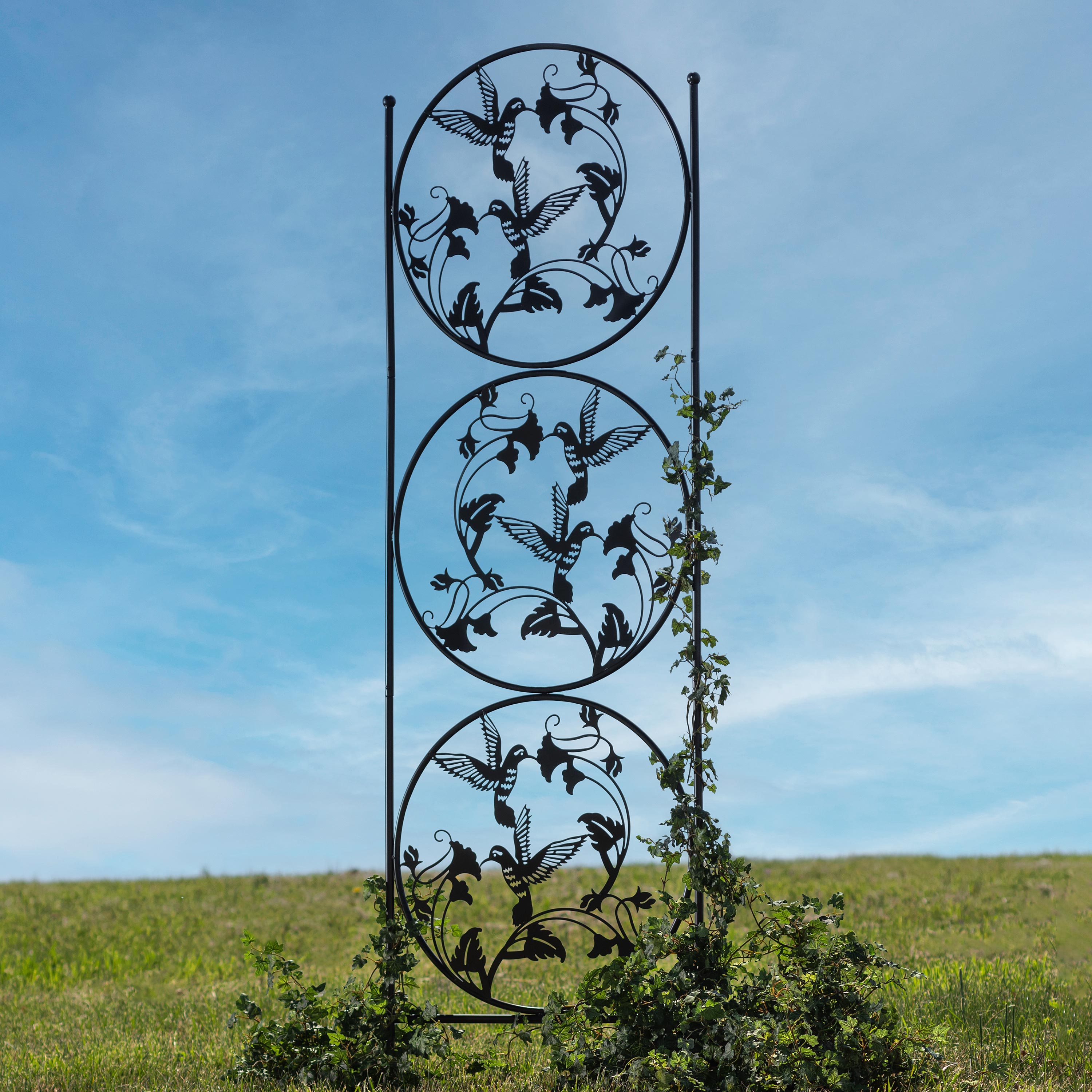 Hummingbird Trio Metal Garden Trellis