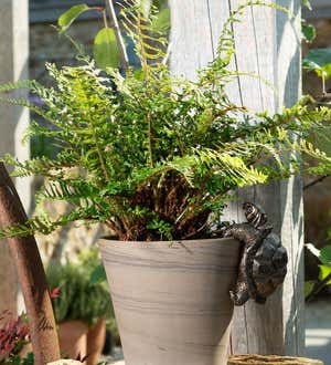 Tortoise Pot Buddy Pot Hanger