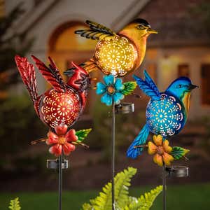 Solar Bird Garden Stake