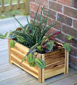 Rectangle Acacia Wood Planter