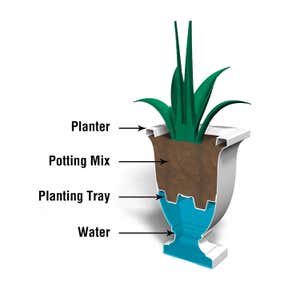 St. Augustine Self-Watering Tall Planter