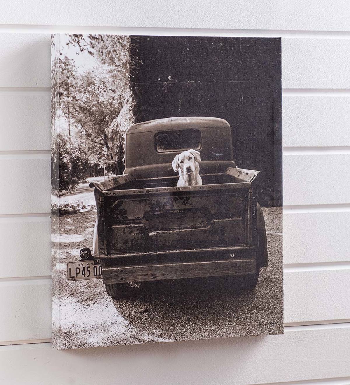 'Get Out Of Dodge' Dog in Truck Canvas Wall Art