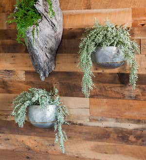 Galvanized Metal Wall Planters, Set of 2