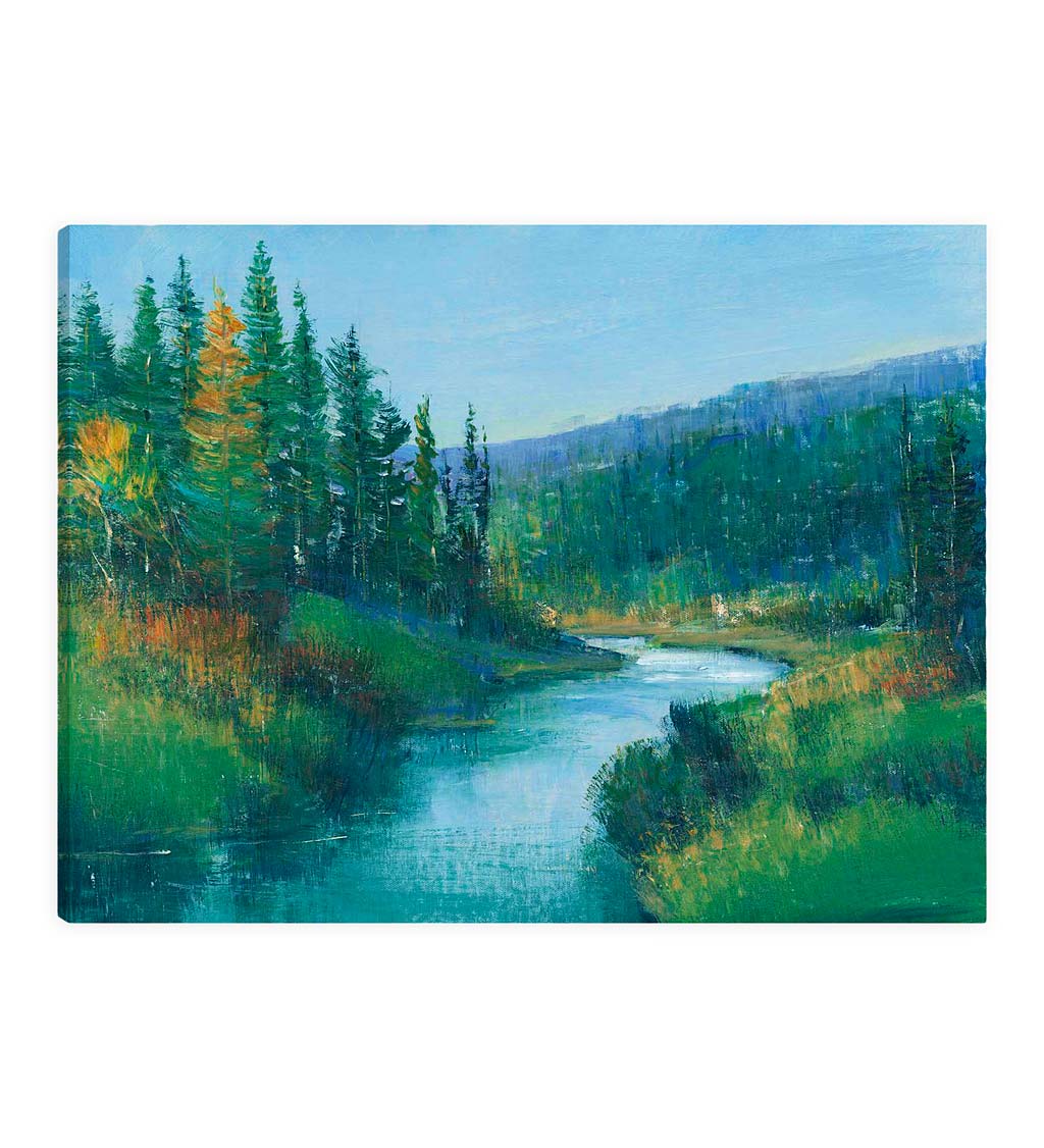 Trout Stream I Canvas Wall Art Painting