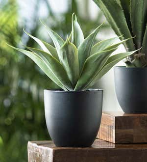 Small Faux Real Agave Plant