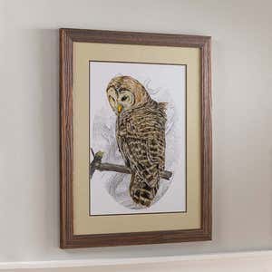 Barred Owl II Framed Wall Art Painting