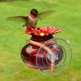 Window Watch Hummingbird Feeder