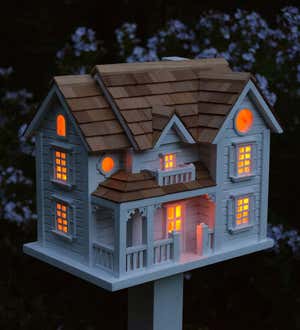 Kingsgate Cottage Lighted Birdhouse and Pedestal Pole Set