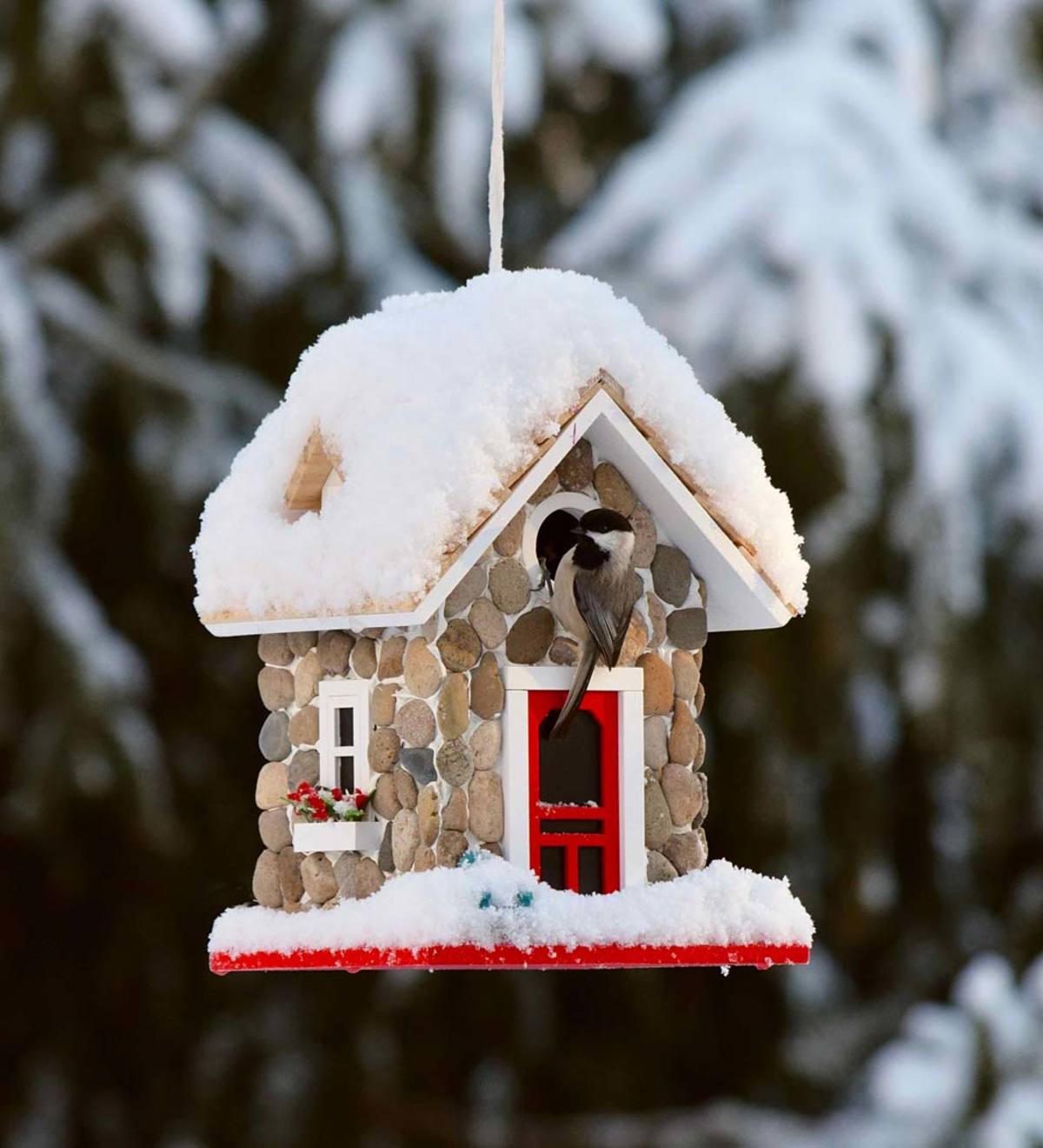 Stone Cottage Birdhouse and Bird Feeder Set