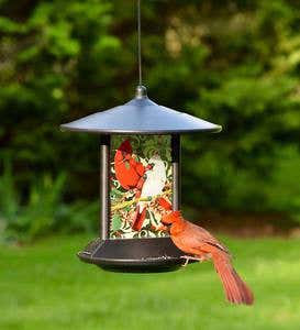 Cardinal Solar Bird Feeder