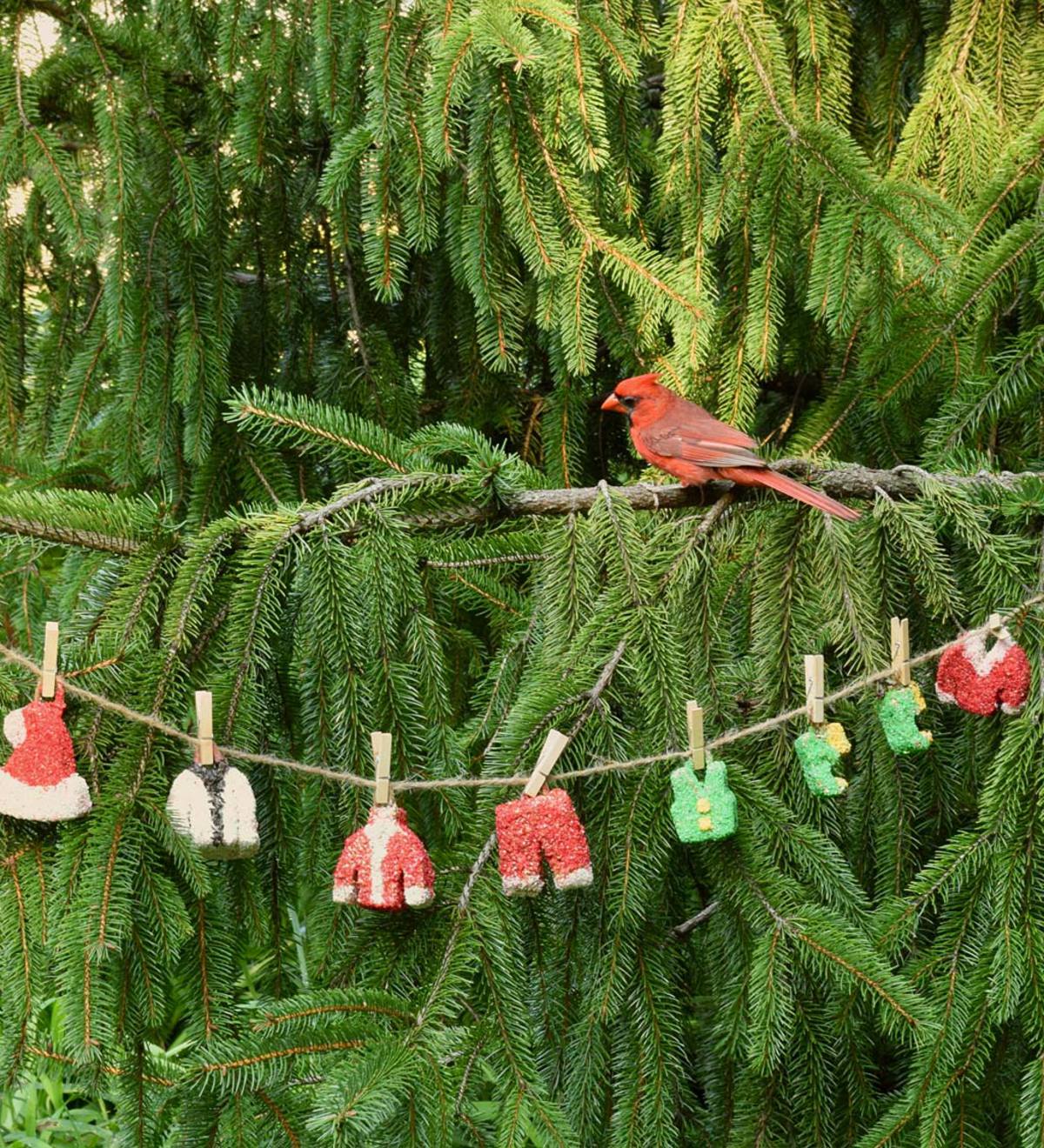 Santa's Laundry Birdseed Garland