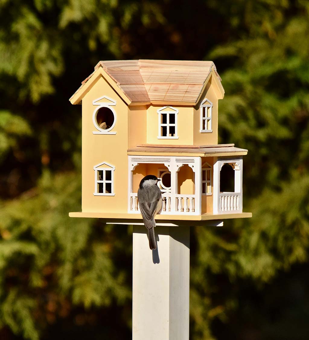 Prairie Farmhouse Lighted Birdhouse and Optional Wood Pole