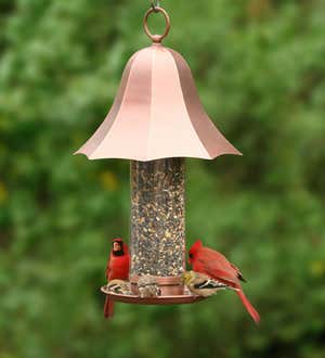 Copper-Colored Metal Bell Bird Feeder with Clear Seed Tube