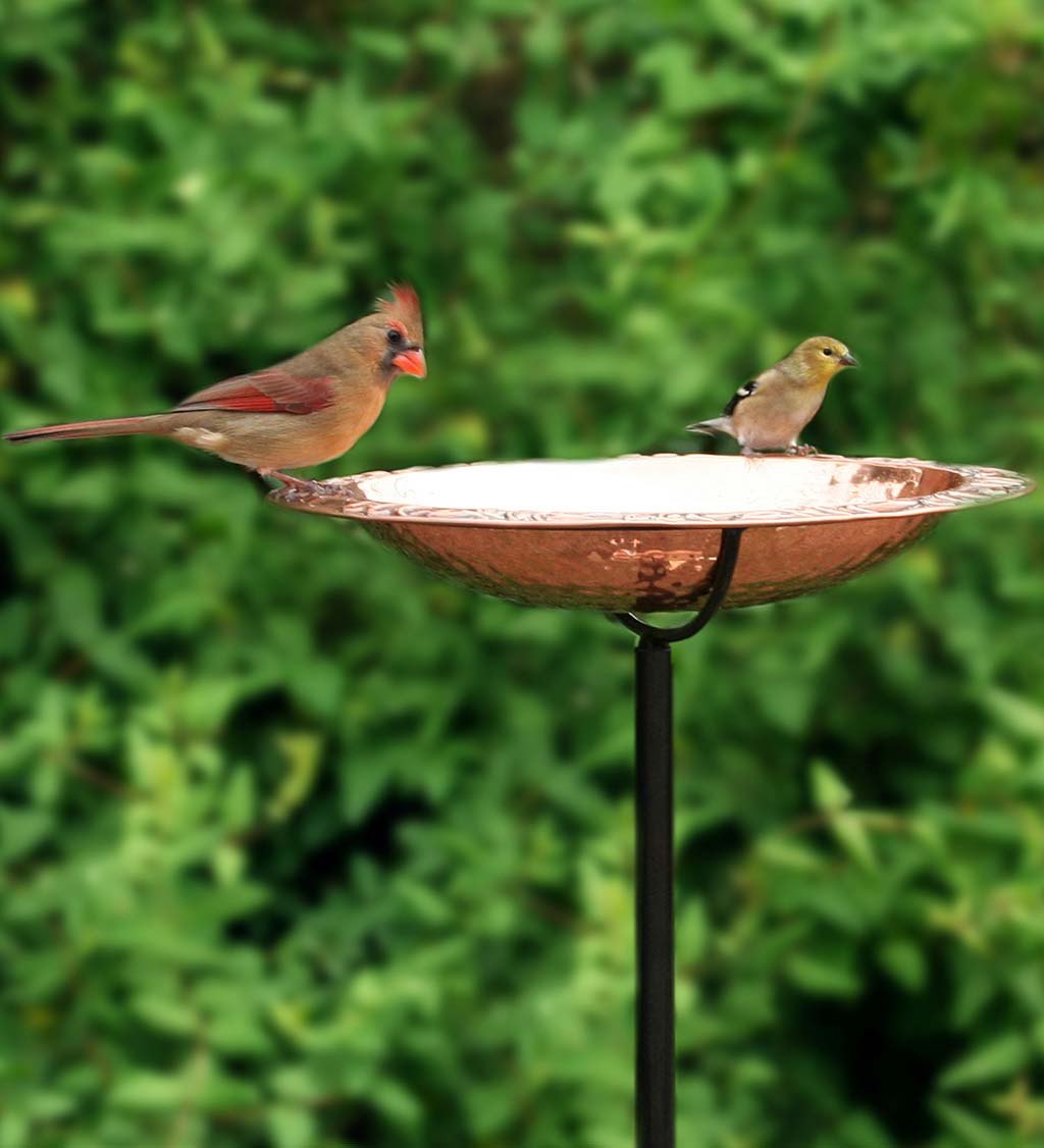 Pure Copper Birdbath on Powder-Coated Steel Pole With Sturdy Three-Prong Stake