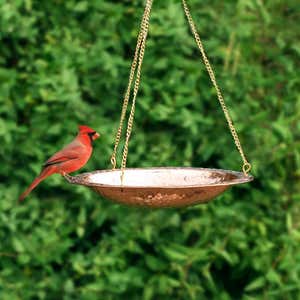 Pure Copper Hanging Birdbath on 17" Long Brass Chain with Hook