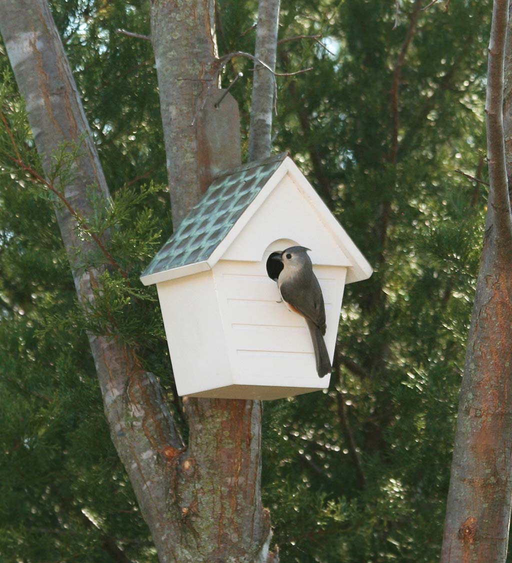 Hardwood Hanging Cottage-Style Birdhouse with Verdigris Copper Roof