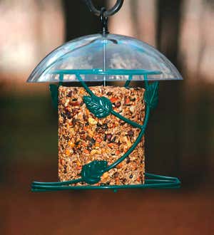 Acrylic-Topped Hanging Seed-Cylinder-Style Bird Feeder
