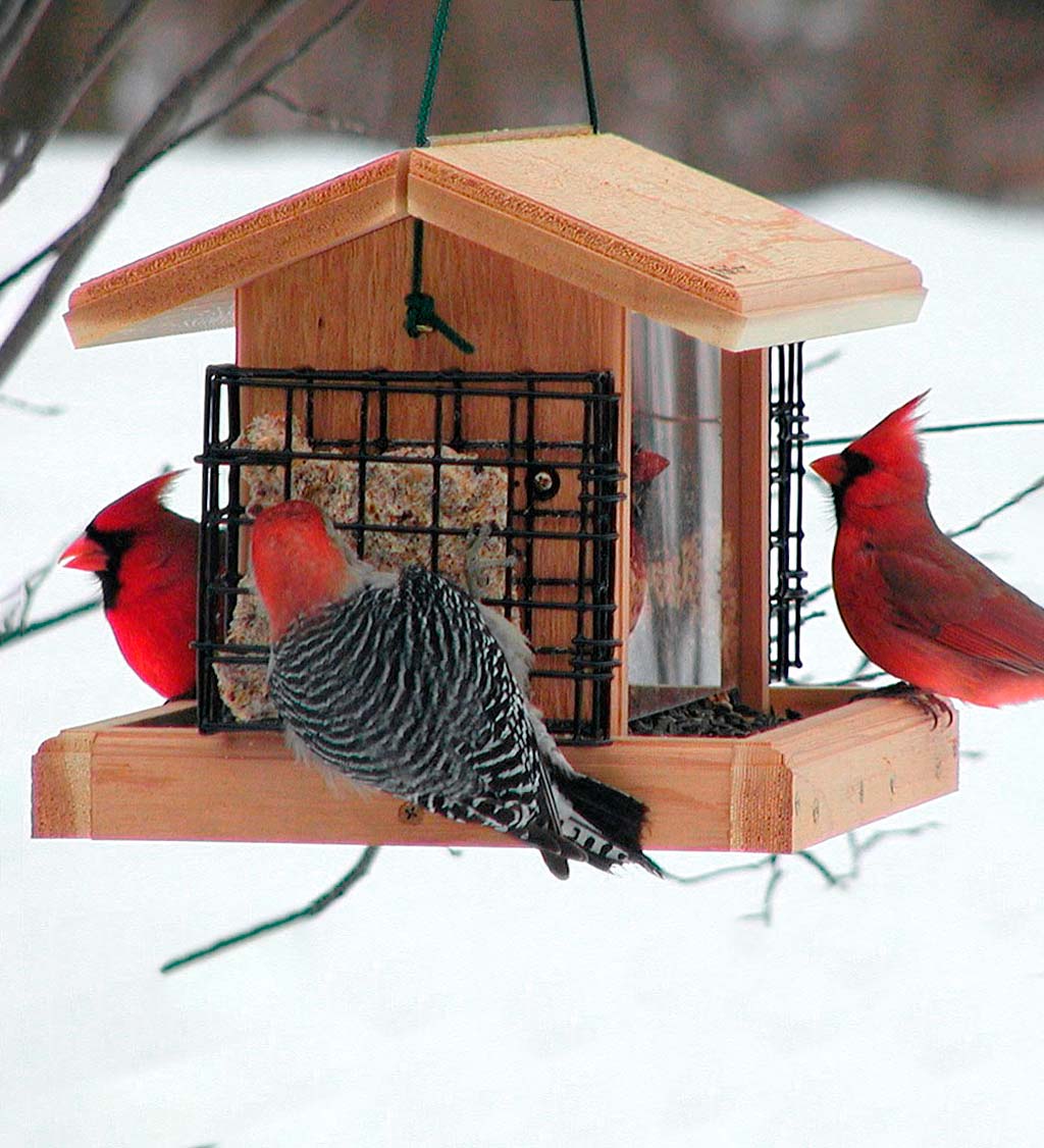 Natural Cedar Hopper-Style Hanging Bird Feeder