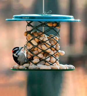 Metal Mesh Whole Peanut in Shell Bird Feeder