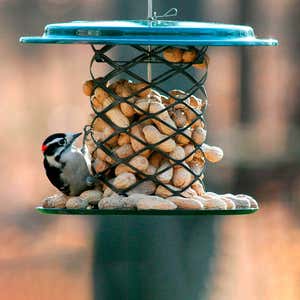 Metal Mesh Whole Peanut in Shell Bird Feeder