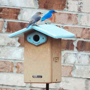 Recycled Poly-Lumber Ultimate Bluebird House