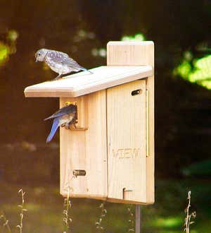 Ultimate Cedar Bluebird House