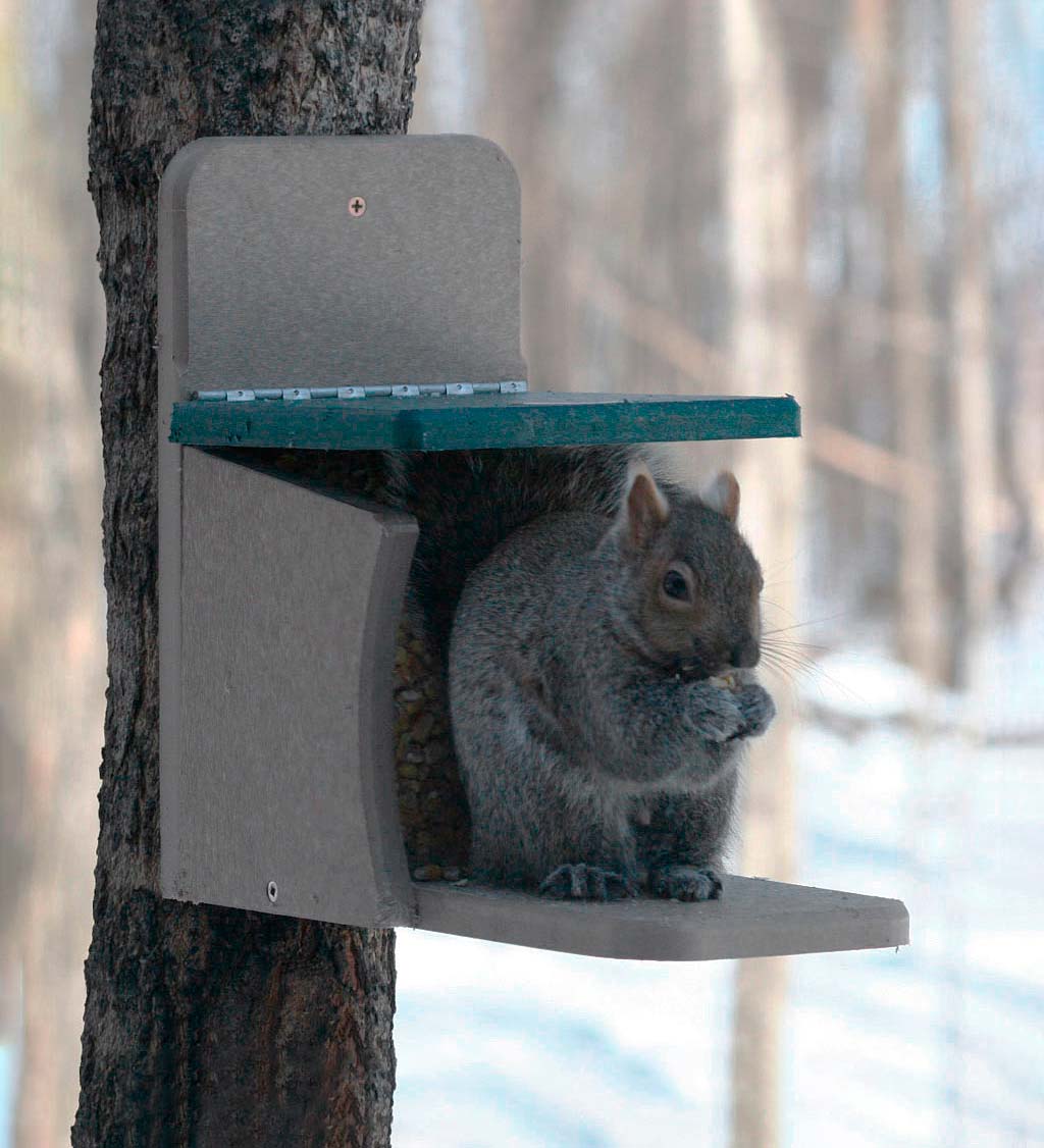 Recycled Poly-lumber Squirrel Munch Box