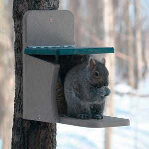 Recycled Poly-lumber Squirrel Munch Box