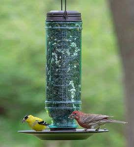 Vintage-Style Glass and Metal Hanging Songbird Feeder