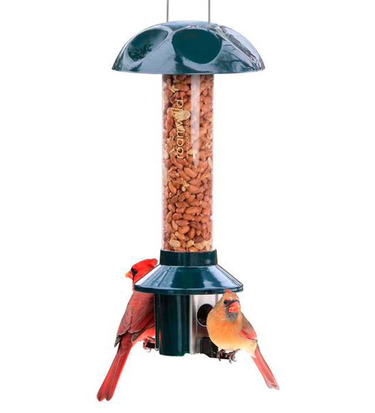 PestOff Bird Feeder For Peanuts, Dried Meal Worms, Suet And Wild Bird Nuggets