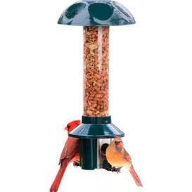 PestOff Bird Feeder For Peanuts, Dried Meal Worms, Suet And Wild Bird Nuggets