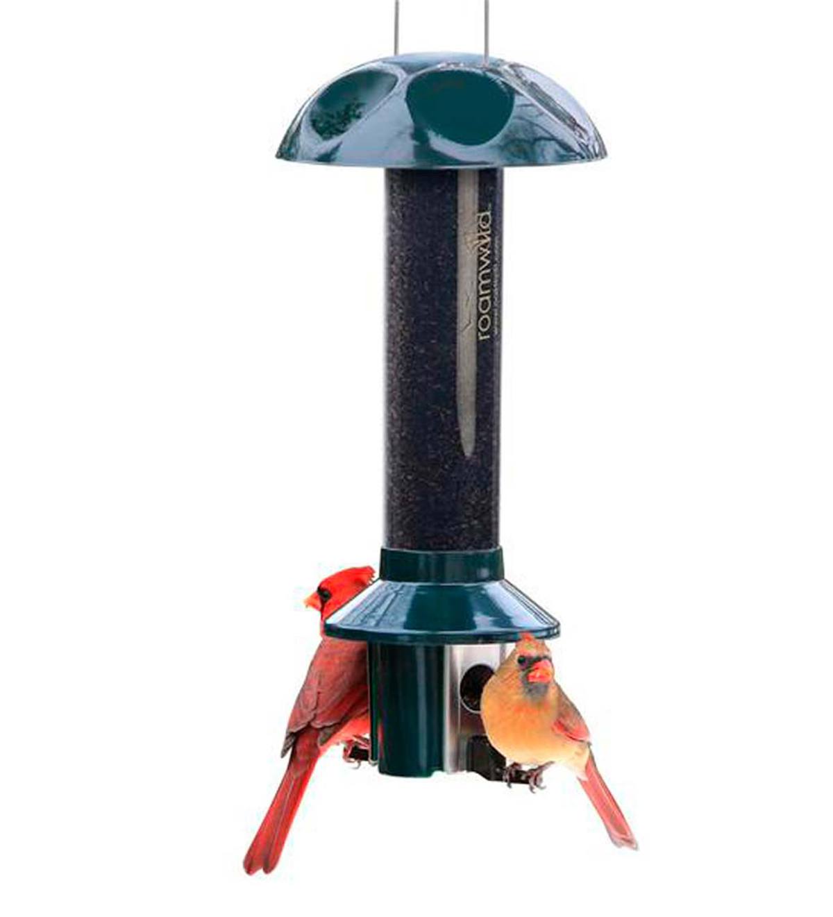 PestOff Pest Proof Nyjer/Thistle Finch Bird Feeder