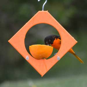 Recycled Plastic Oriole Diamond Fruit Feeder